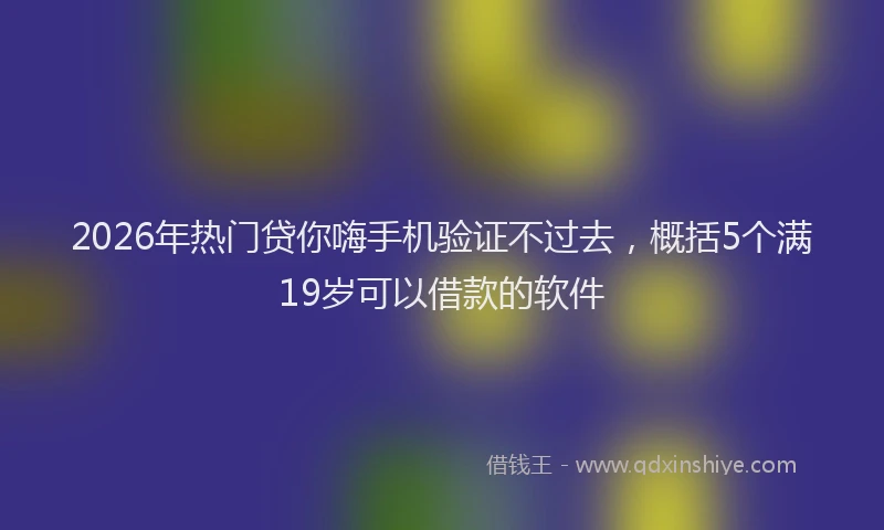 2026年热门贷你嗨手机验证不过去，概括5个满19岁可以借款的软件
