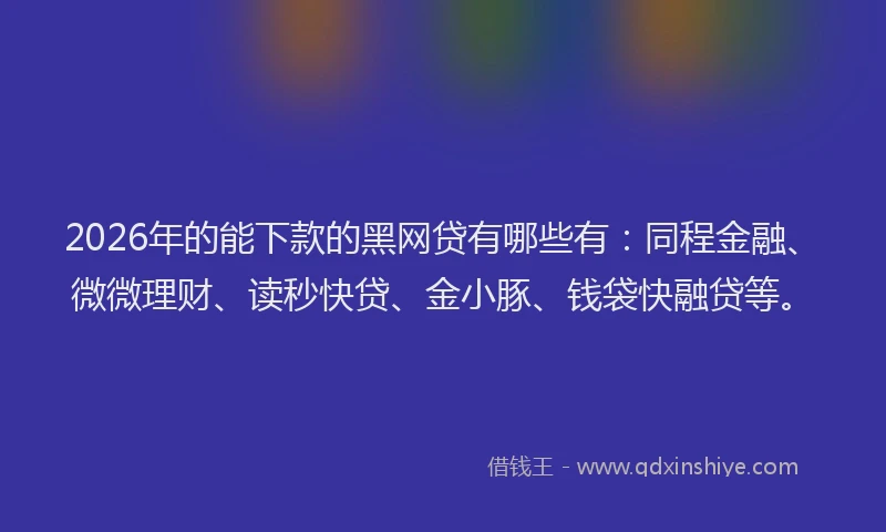 2026年的能下款的黑网贷有哪些有:同程金融、微微理财、读秒快贷、金小豚、钱袋快融贷等。