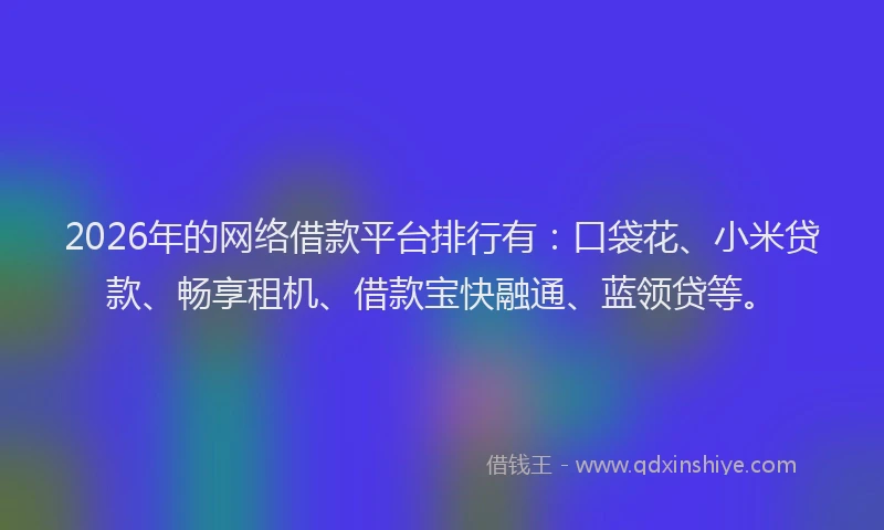 2026年的网络借款平台排行有：口袋花、小米贷款、畅享租机、借款宝快融通、蓝领贷等。