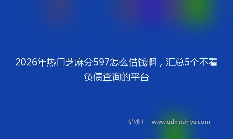2026年热门芝麻分597怎么借钱啊，汇总5个不看负债查询的平台