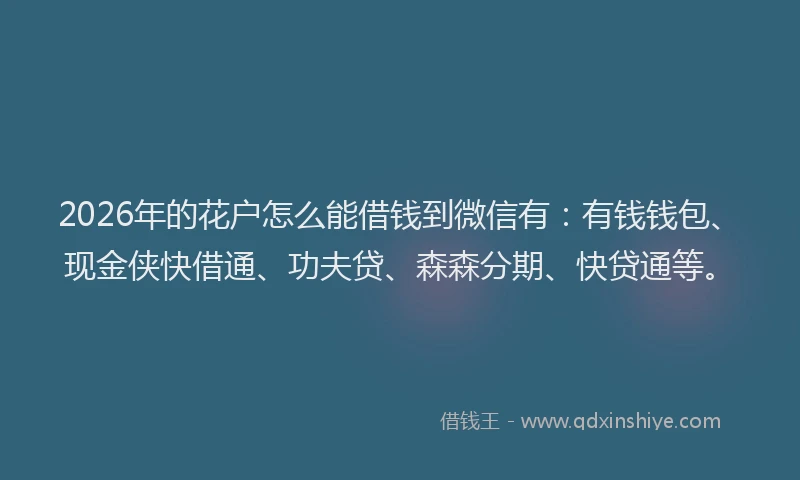 2026年的花户怎么能借钱到微信有:有钱钱包、现金侠快借通、功夫贷、森森分期、快贷通等。
