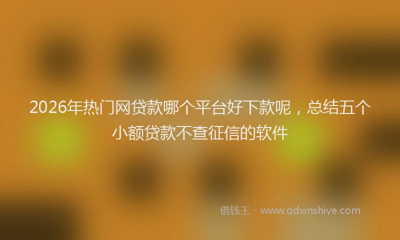 2026年热门网贷款哪个平台好下款呢，总结五个小额贷款不查征信的软件