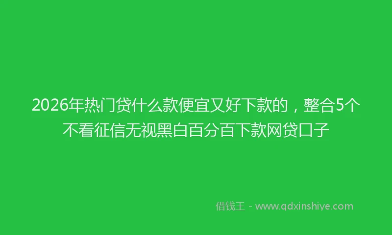 2026年热门贷什么款便宜又好下款的，整合5个不看征信无视黑白百分百下款网贷口子