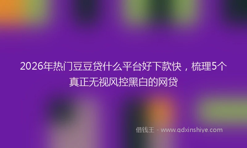 2026年热门豆豆贷什么平台好下款快，梳理5个真正无视风控黑白的网贷