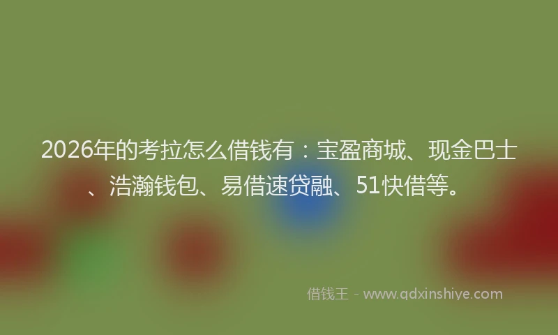 2026年的考拉怎么借钱有：宝盈商城、现金巴士、浩瀚钱包、易借速贷融、51快借等。