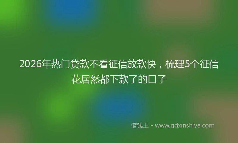 2026年热门贷款不看征信放款快,梳理5个征信花居然都下款了的口子