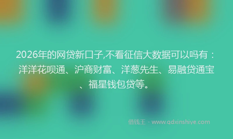 2026年的网贷新口子,不看征信大数据可以吗有：洋洋花呗通、沪商财富、洋葱先生、易融贷通宝、福星钱包贷等。