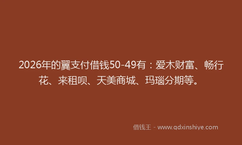 2026年的翼支付借钱50-49有：爱木财富、畅行花、来租呗、天美商城、玛瑙分期等。
