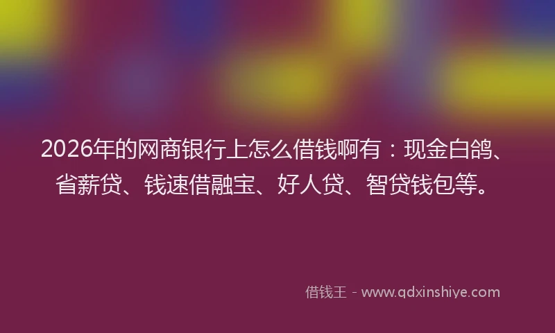 2026年的网商银行上怎么借钱啊有：现金白鸽、省薪贷、钱速借融宝、好人贷、智贷钱包等。