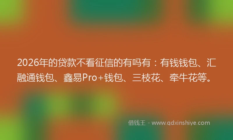 2026年的贷款不看征信的有吗有：有钱钱包、汇融通钱包、鑫易Pro+钱包、三枝花、牵牛花等。