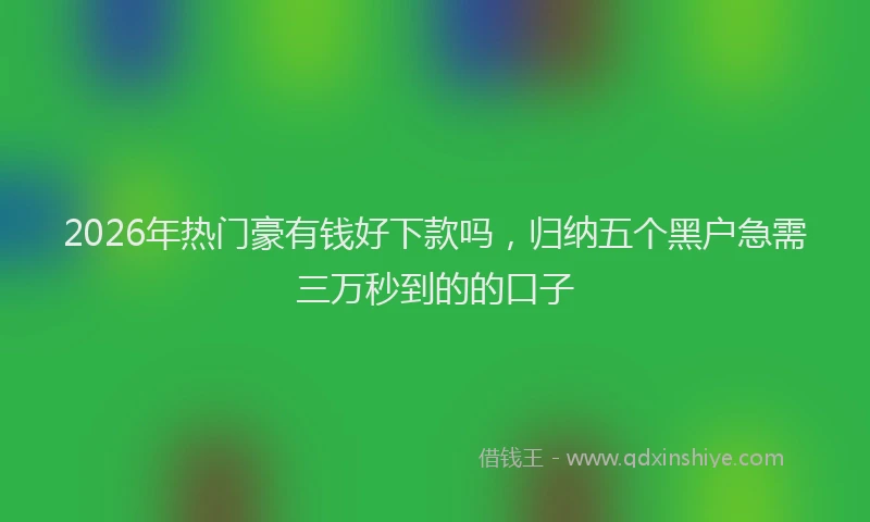 2026年热门豪有钱好下款吗，归纳五个黑户急需三万秒到的的口子