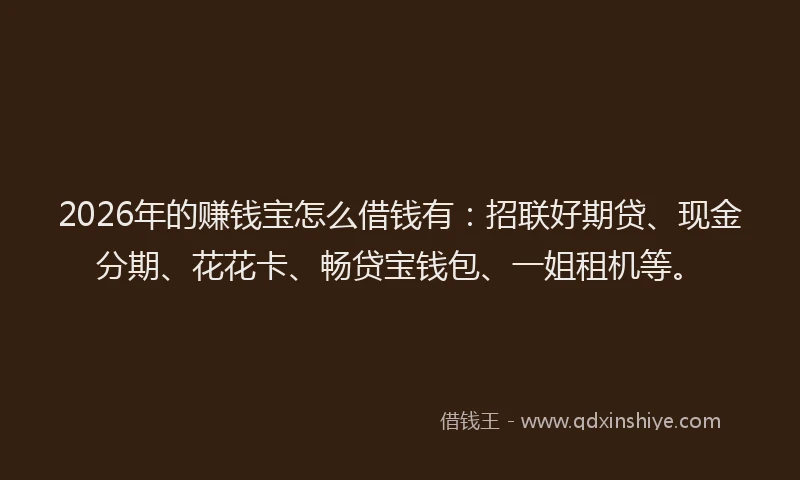 2026年的赚钱宝怎么借钱有：招联好期贷、现金分期、花花卡、畅贷宝钱包、一姐租机等。