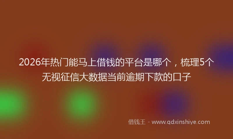 2026年热门能马上借钱的平台是哪个，梳理5个无视征信大数据当前逾期下款的口子