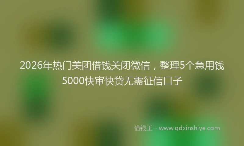 2026年热门美团借钱关闭微信，整理5个急用钱5000快审快贷无需征信口子