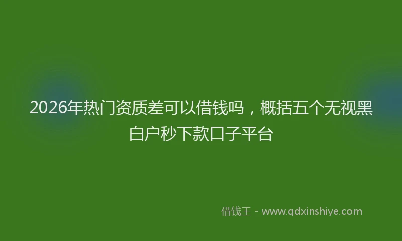 2026年热门资质差可以借钱吗，概括五个无视黑白户秒下款口子平台