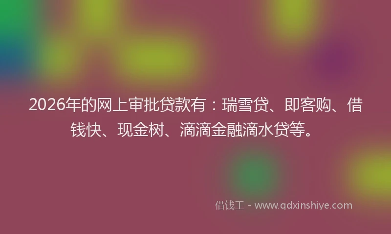 2026年的网上审批贷款有：瑞雪贷、即客购、借钱快、现金树、滴滴金融滴水贷等。
