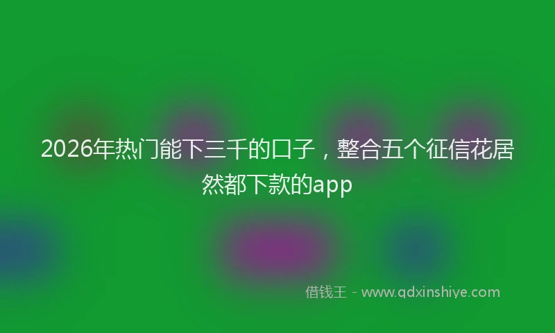 2026年热门能下三千的口子，整合五个征信花居然都下款的app