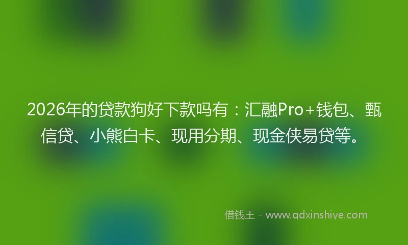 2026年的贷款狗好下款吗有：汇融Pro+钱包、甄信贷、小熊白卡、现用分期、现金侠易贷等。