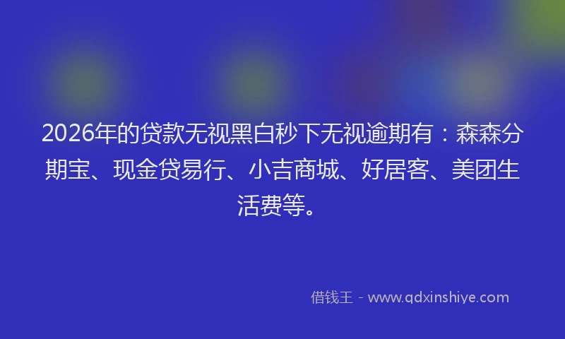 2026年的贷款无视黑白秒下无视逾期有：森森分期宝、现金贷易行、小吉商城、好居客、美团生活费等。