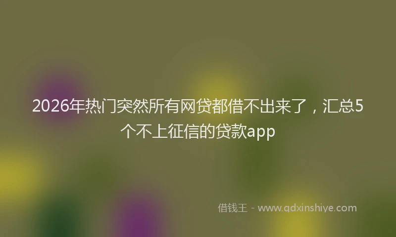 2026年热门突然所有网贷都借不出来了，汇总5个不上征信的贷款app