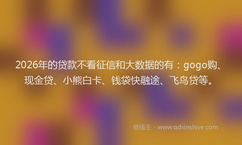 2026年的贷款不看征信和大数据的有：gogo购、现金贷、小熊白卡、钱袋快融途、飞鸟贷等。