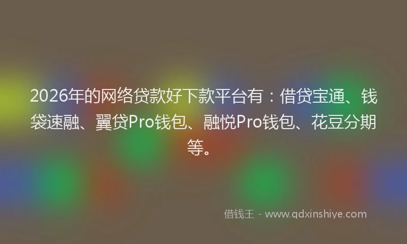 2026年的网络贷款好下款平台有：借贷宝通、钱袋速融、翼贷Pro钱包、融悦Pro钱包、花豆分期等。
