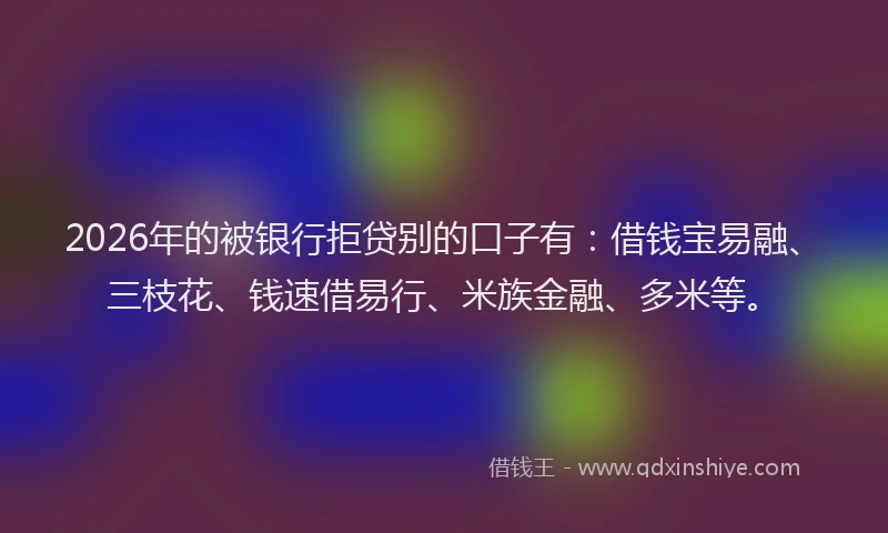 2026年的被银行拒贷别的口子有：借钱宝易融、三枝花、钱速借易行、米族金融、多米等。