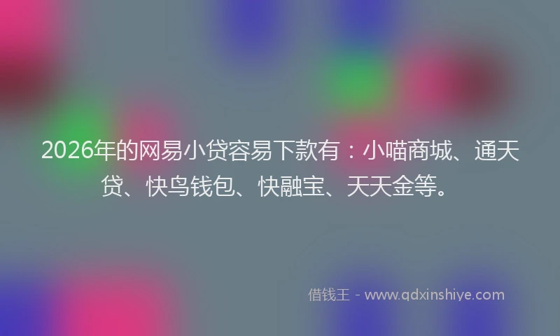 2026年的网易小贷容易下款有：小喵商城、通天贷、快鸟钱包、快融宝、天天金等。