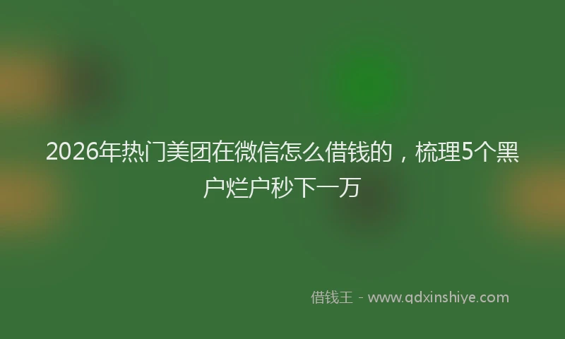 2026年热门美团在微信怎么借钱的，梳理5个黑户烂户秒下一万
