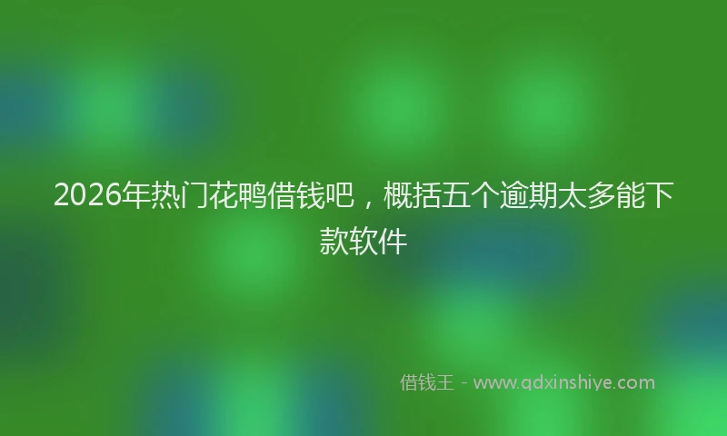 2026年热门花鸭借钱吧，概括五个逾期太多能下款软件