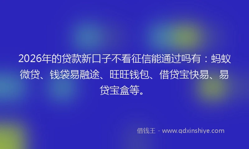 2026年的贷款新口子不看征信能通过吗有：蚂蚁微贷、钱袋易融途、旺旺钱包、借贷宝快易、易贷宝盒等。