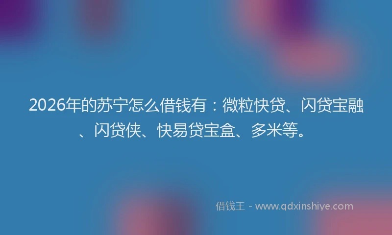 2026年的苏宁怎么借钱有:微粒快贷、闪贷宝融、闪贷侠、快易贷宝盒、多米等。