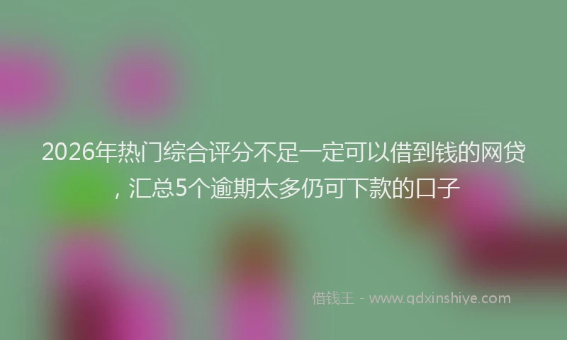 2026年热门综合评分不足一定可以借到钱的网贷,汇总5个逾期太多仍可下款的口子