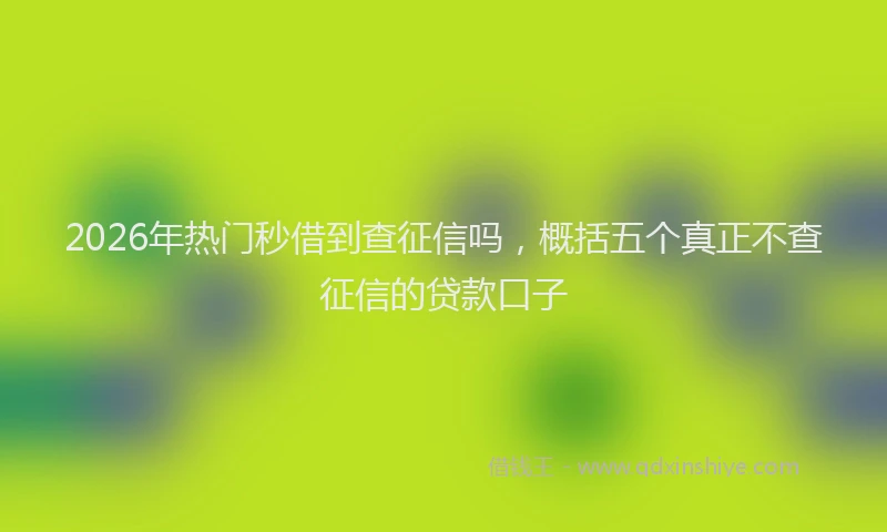 2026年热门秒借到查征信吗，概括五个真正不查征信的贷款口子