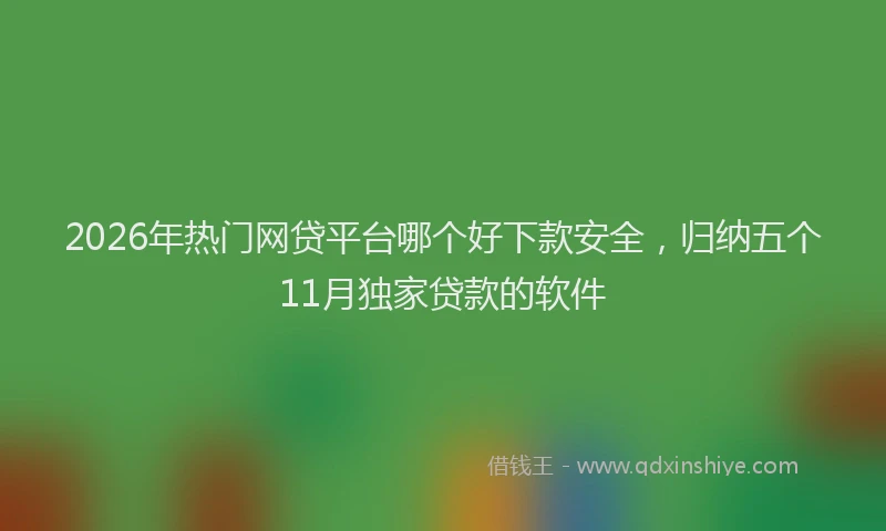 2026年热门网贷平台哪个好下款安全，归纳五个11月独家贷款的软件