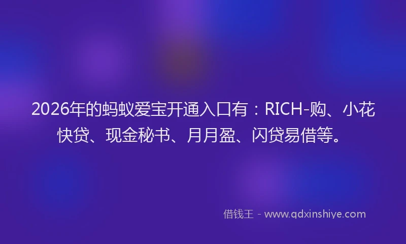 2026年的蚂蚁爱宝开通入口有：RICH-购、小花快贷、现金秘书、月月盈、闪贷易借等。