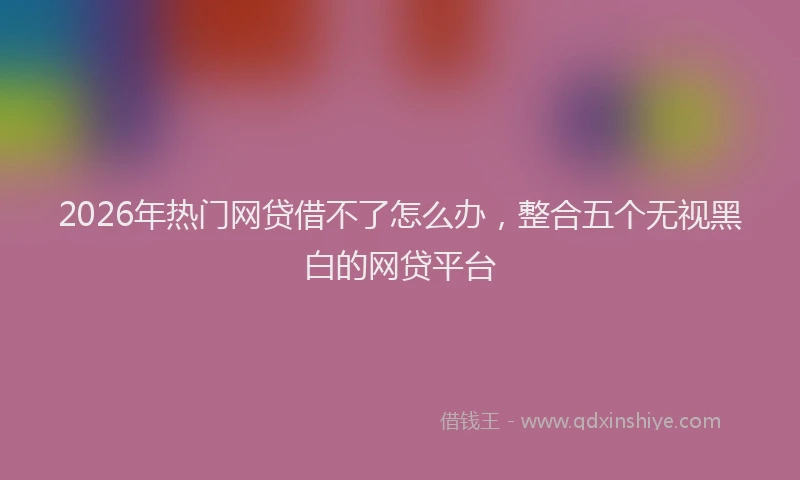 2026年热门网贷借不了怎么办，整合五个无视黑白的网贷平台