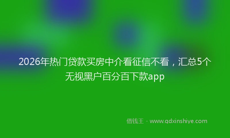 2026年热门贷款买房中介看征信不看，汇总5个无视黑户百分百下款app