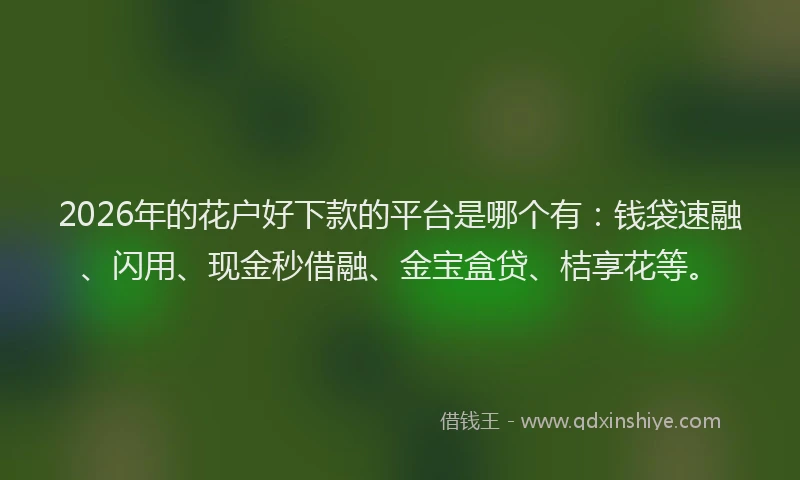 2026年的花户好下款的平台是哪个有：钱袋速融、闪用、现金秒借融、金宝盒贷、桔享花等。