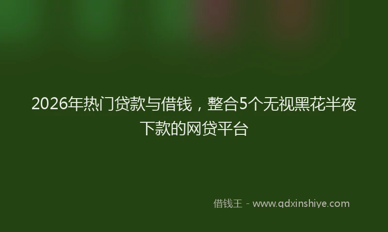 2026年热门贷款与借钱，整合5个无视黑花半夜下款的网贷平台