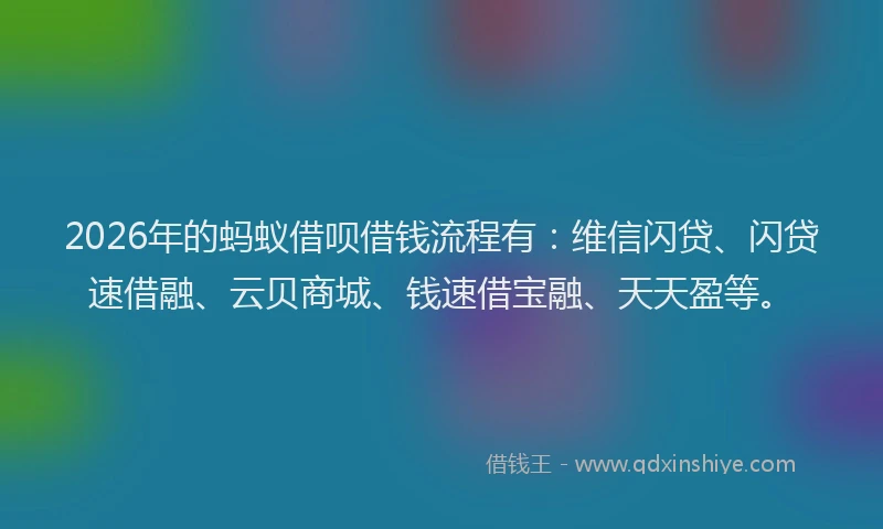 2026年的蚂蚁借呗借钱流程有：维信闪贷、闪贷速借融、云贝商城、钱速借宝融、天天盈等。