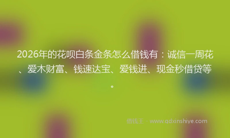 2026年的花呗白条金条怎么借钱有：诚信一周花、爱木财富、钱速达宝、爱钱进、现金秒借贷等。
