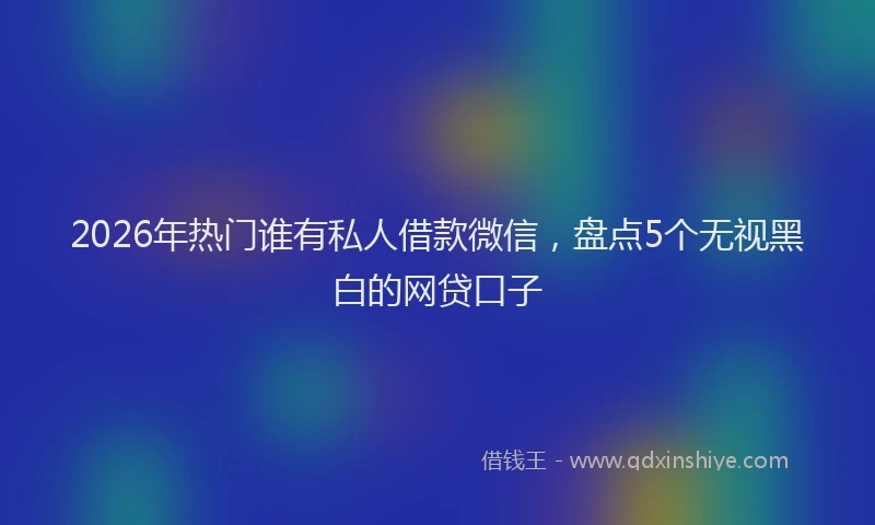 2026年热门谁有私人借款微信，盘点5个无视黑白的网贷口子