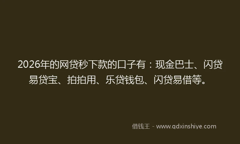 2026年的网贷秒下款的口子有：现金巴士、闪贷易贷宝、拍拍用、乐贷钱包、闪贷易借等。