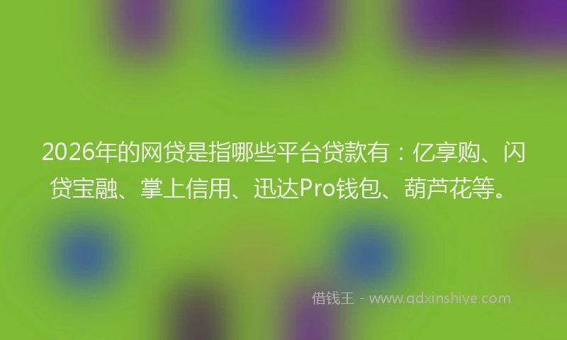 2026年的网贷是指哪些平台贷款有：亿享购、闪贷宝融、掌上信用、迅达Pro钱包、葫芦花等。