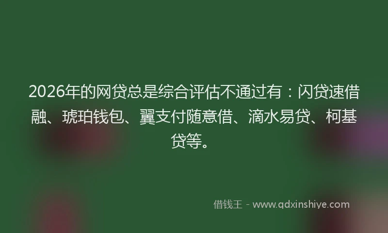2026年的网贷总是综合评估不通过有：闪贷速借融、琥珀钱包、翼支付随意借、滴水易贷、柯基贷等。
