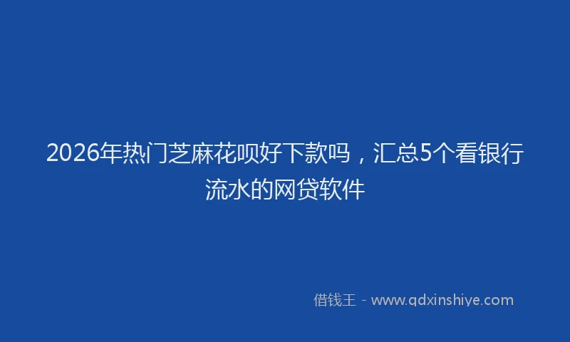 2026年热门芝麻花呗好下款吗，汇总5个看银行流水的网贷软件