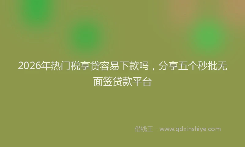 2026年热门税享贷容易下款吗，分享五个秒批无面签贷款平台