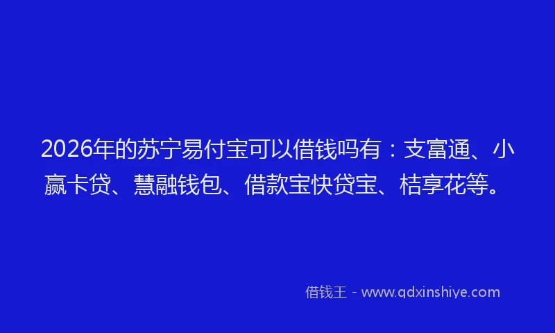 2026年的苏宁易付宝可以借钱吗有:支富通、小赢卡贷、慧融钱包、借款宝快贷宝、桔享花等。
