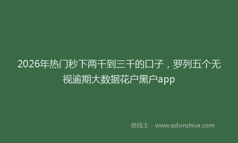 2026年热门秒下两千到三千的口子，罗列五个无视逾期大数据花户黑户app